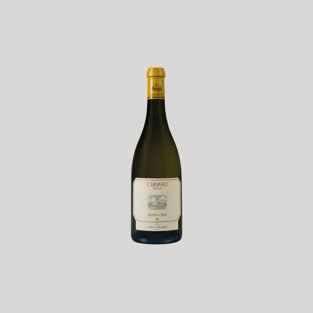 Cervaro della Sala 2022 Antinori